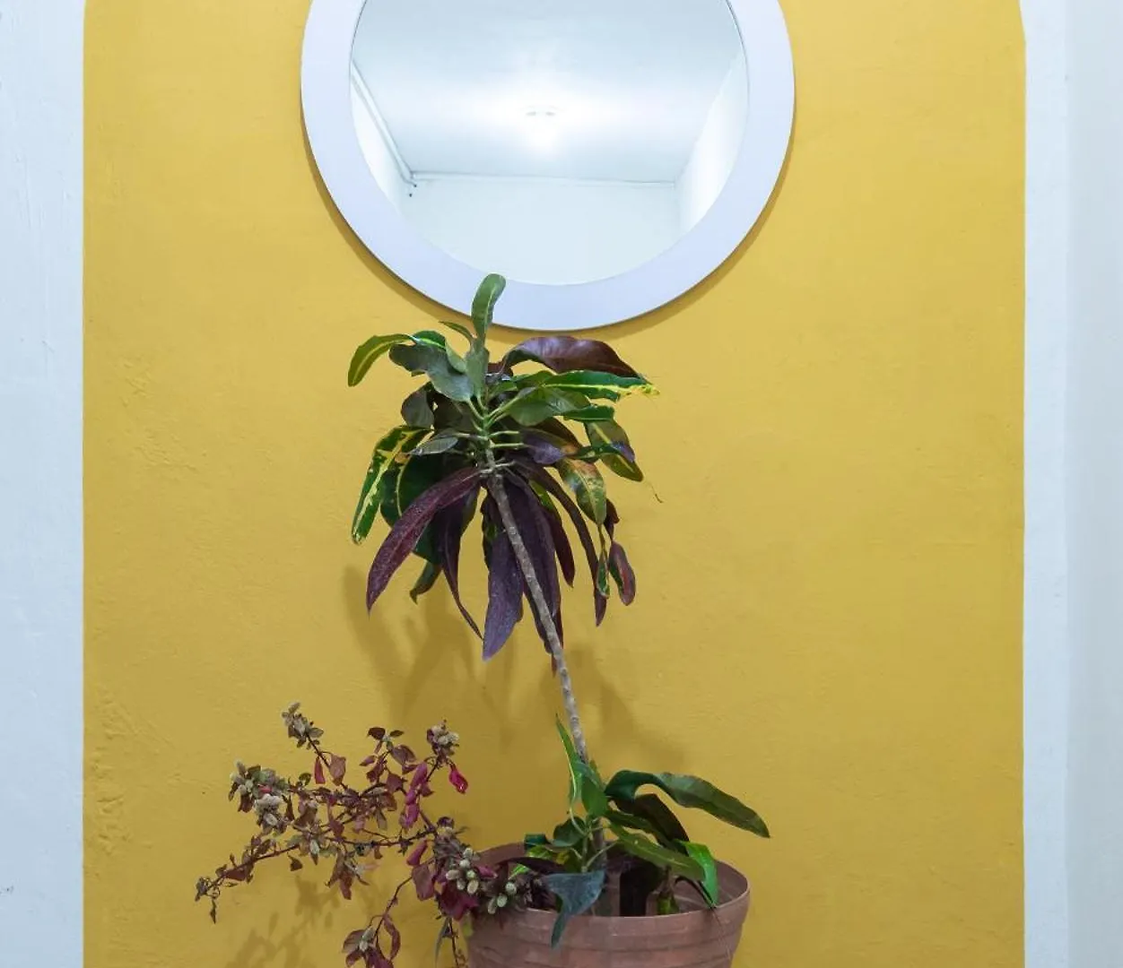 Jardin Merida Guest house